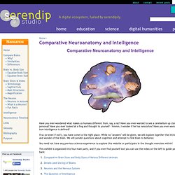 Comparative Neuroanatomy and Intelligence