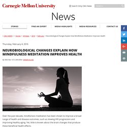 Neurobiological Changes Explain How Mindfulness Meditation Improves Health-CMU News