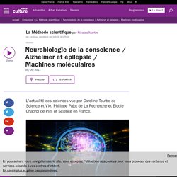 Neurobiologie de la conscience / Alzheimer et épilepsie / Machines moléculaires