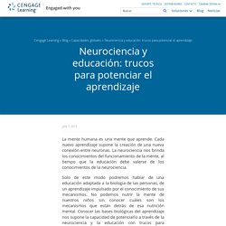 Neurociencia y educación: trucos para potenciar el aprendizaje