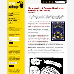 Neurocomic: A Graphic Novel About How the Brain Works