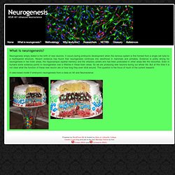 Neurogenesis » What is neurogenesis?