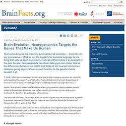 Brain Evolution: Neurogenomics Targets the Genes That Make Us Human