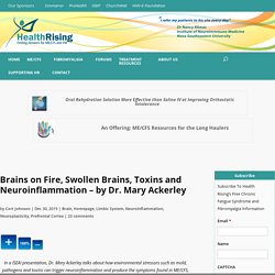 Brains on Fire, Swollen Brains, Toxins and Neuroinflammation - by Dr. Mary Ackerley