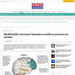 NEUROLOGIE. Comment l’éducation modifie la structure du cerveau - Sciencesetavenir.fr