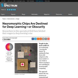 Neuromorphic Chips Are Destined for Deep Learning—or Obscurity