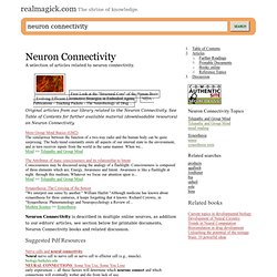 Neuron Connectivity