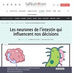 Les neurones de l’intestin qui influencent nos décisions Par Suzanne Lovell Publié le 28/07/2020 Mis à jour le 28/07/2020