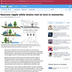 Neurons ripple while brains rest to lock in memories