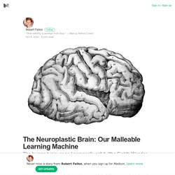 The Neuroplastic Brain: Our Malleable Learning Machine