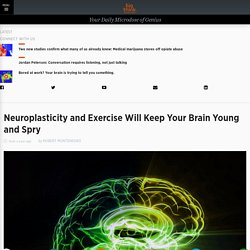 Neuroplasticity and Exercise Will Keep Your Brain Young and Spry