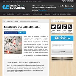 Neuroplasticity: Brain and Heart Interaction
