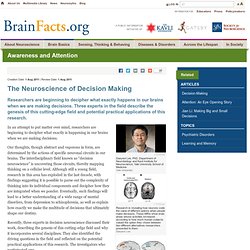 The Neuroscience of Decision Making