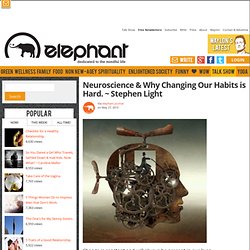 Neuroscience & Why Changing Our Habits is Hard. ~ Stephen Light