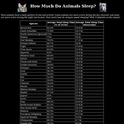 Animal Sleep - StumbleUpon