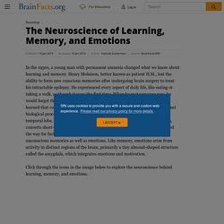 The Neuroscience of Learning, Memory, and Emotions