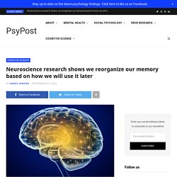 Neuroscience research shows we reorganize our memory based on how we will use it later