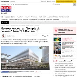 Neurosciences : un "temple du cerveau" bientôt à Bordeaux