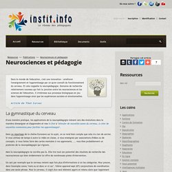 Neurosciences et pédagogie - Publications pédagogiques - Les sites web conseillés par Instit.info