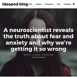 A neuroscientist reveals the truth about fear and anxiety and why we're getting it so wrong - Ideapod blog
