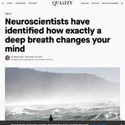 Neuroscientists have identified how exactly a deep breath changes your mind — Quartzy