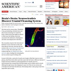 Brain's Drain: Neuroscientists Discover Cranial Cleansing System
