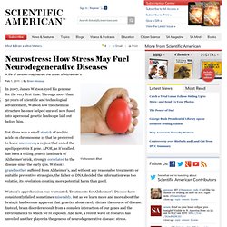 Neurostress: How Stress May Fuel Neurodegenerative Diseases