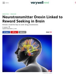 Neurotransmitter Linked to Pleasure & Reward in Brain