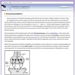 Neurotransmitters - Chemistry Encyclopedia - structure, proteins, molecule, General Mechanism of Action