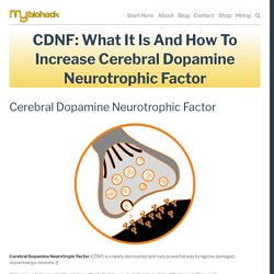 CDNF: What It Is and How To Increase Cerebral Dopamine Neurotrophic Factor — MyBioHack