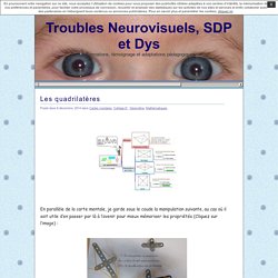 Troubles Neurovisuels, SDP et Dys » Les quadrilatères