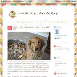Never feed X-mas and new year foods to your dog! - sweetsdailyupdates’s diary