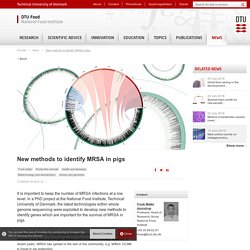 NATIONAL FOOD INSTITUTE (DK) 05/08/14 New methods to identify MRSA in pigs