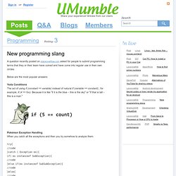 New programming slang - Programming