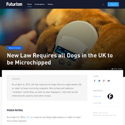 New Law Requires all Dogs in the UK to be Microchipped