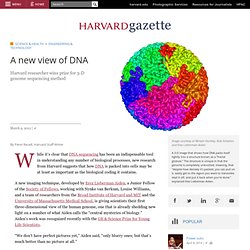 A new view of DNA