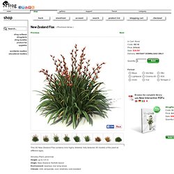 The Xfrog Store: New Zealand Flax