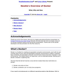 Newbie's Overview of Docker