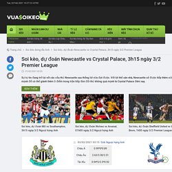 Soi kèo, dự đoán Newcastle vs Crystal Palace, 3h15 ngày 3/2 Premier League