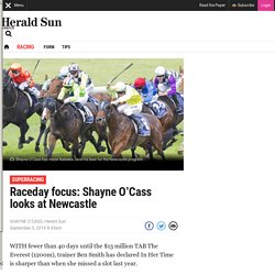 Best bets, tips Newcastle races: Raceday focus with Shayne O’Cass