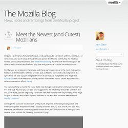 Meet the Newest (and Cutest) Mozillians