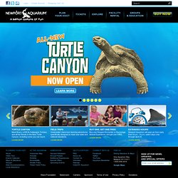Newport Aquarium | Newport Attractions | Things To Do Cincinnati