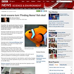 Acid oceans turn 'Finding Nemo' fish deaf