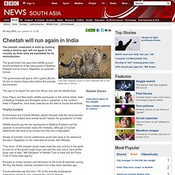 Cheetah will run again in India