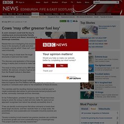 Cows 'may offer greener fuel key'
