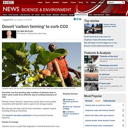 Desert 'carbon farming' to curb CO2
