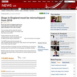 Dogs in England must be microchipped from 2016