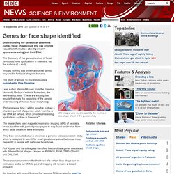 Genes for face shape identified