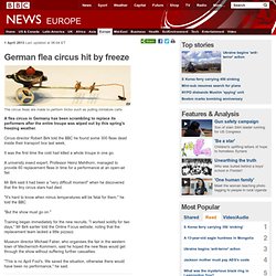 German flea circus hit by freeze - FrontMotion Firefox