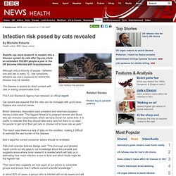 Infection risk posed by cats revealed